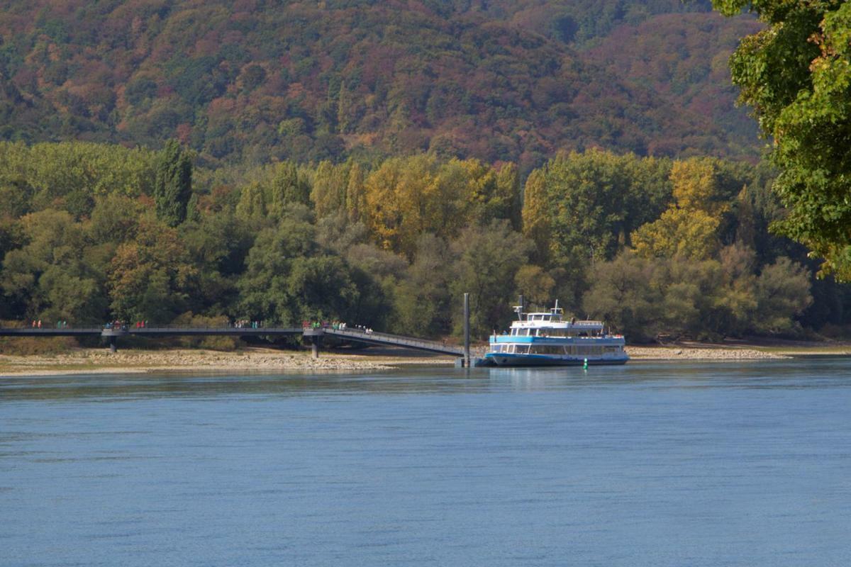 Ferienhaus An Der Burg Namedy Andernach Kültér fotó